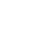 MSS ICONS - N2 (125).png